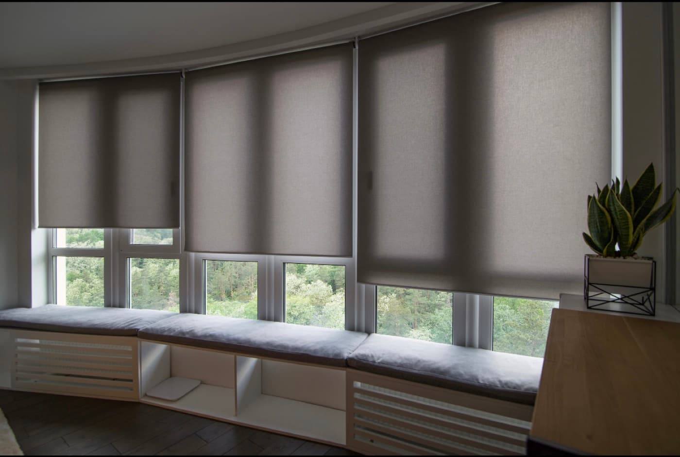 Solar & Screen Shades
